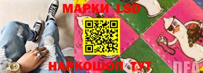 тгк Новозыбков