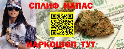 тгк Новозыбков